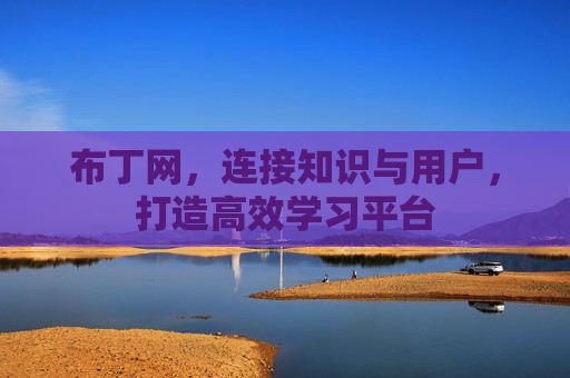 布丁网，连接知识与用户，打造高效学习平台