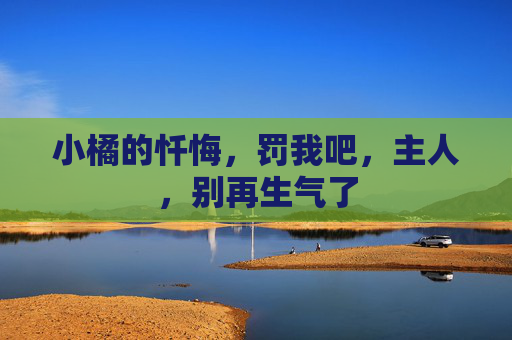 小橘的忏悔，罚我吧，主人，别再生气了