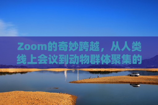 Zoom的奇妙跨越，从人类线上会议到动物群体聚集的有趣关联