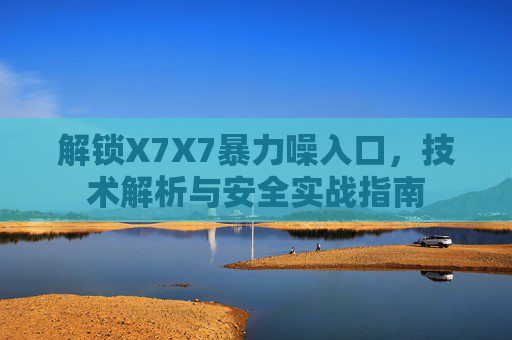 解锁X7X7暴力噪入口，技术解析与安全实战指南