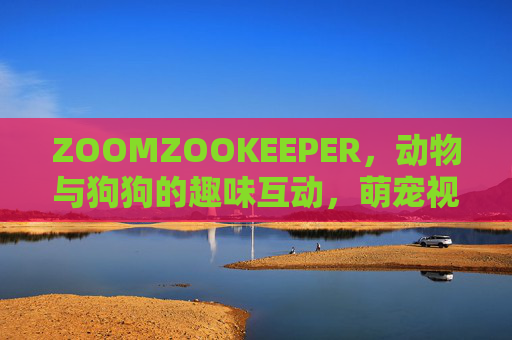 ZOOMZOOKEEPER，动物与狗狗的趣味互动，萌宠视频的欢乐治愈之旅