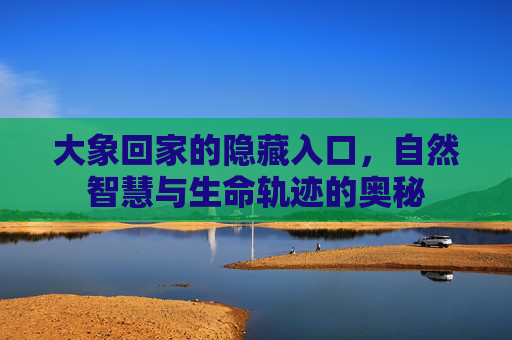 大象回家的隐藏入口，自然智慧与生命轨迹的奥秘