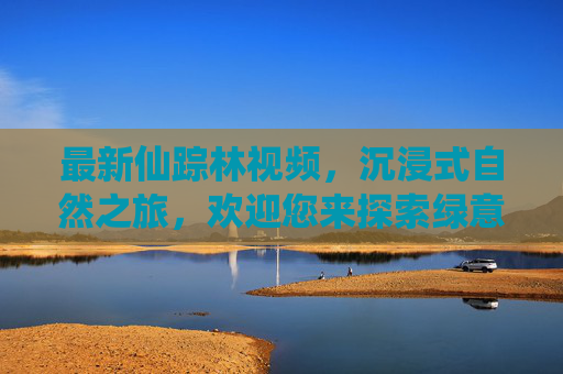 最新仙踪林视频，沉浸式自然之旅，欢迎您来探索绿意盎然的世界