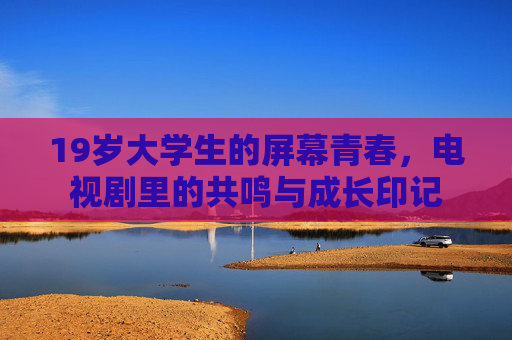 19岁大学生的屏幕青春，电视剧里的共鸣与成长印记