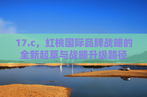 17.c，红桃国际品牌战略的全新起草与战略升级路径