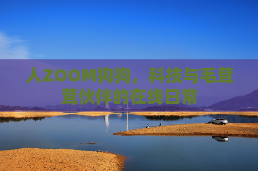 人ZOOM狗狗，科技与毛茸茸伙伴的在线日常