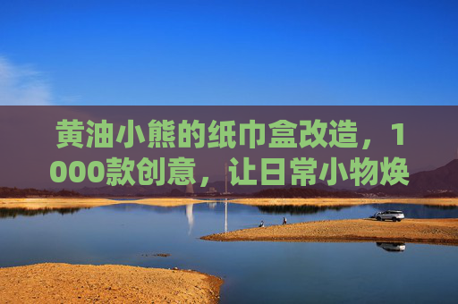 黄油小熊的纸巾盒改造，1000款创意，让日常小物焕发新生命