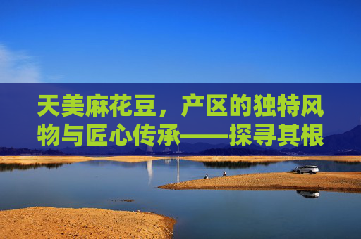 天美麻花豆，产区的独特风物与匠心传承——探寻其根源与魅力