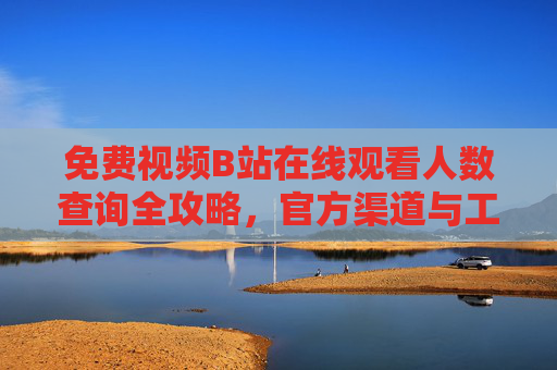 免费视频B站在线观看人数查询全攻略，官方渠道与工具解析