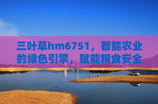 三叶草hm6751，智能农业的绿色引擎，赋能粮食安全与可持续发展