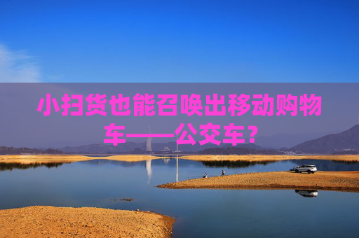 小扫货也能召唤出移动购物车——公交车？