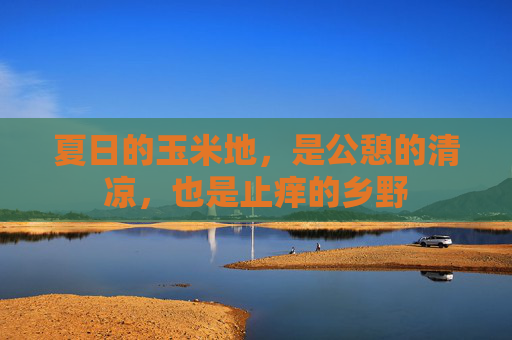 夏日的玉米地，是公憩的清凉，也是止痒的乡野
