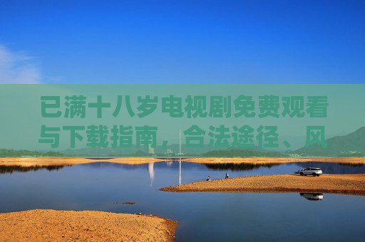 已满十八岁电视剧免费观看与下载指南，合法途径、风险提示与理性选择