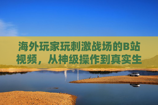 海外玩家玩刺激战场的B站视频，从神级操作到真实生存的多元体验——解码国外UP主的游戏世界