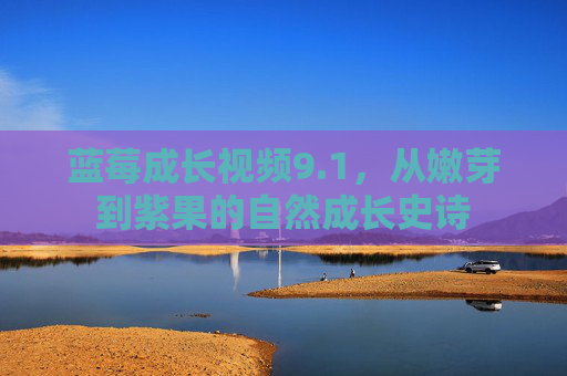 蓝莓成长视频9.1，从嫩芽到紫果的自然成长史诗
