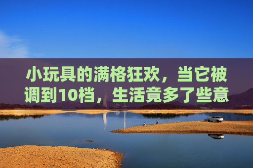 小玩具的满格狂欢，当它被调到10档，生活竟多了些意想不到的乐趣