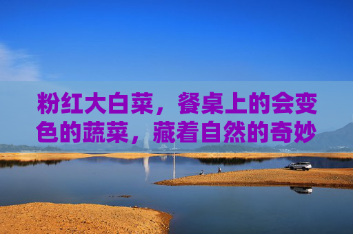 粉红大白菜，餐桌上的会变色的蔬菜，藏着自然的奇妙馈赠