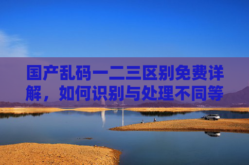 国产乱码一二三区别免费详解，如何识别与处理不同等级乱码问题