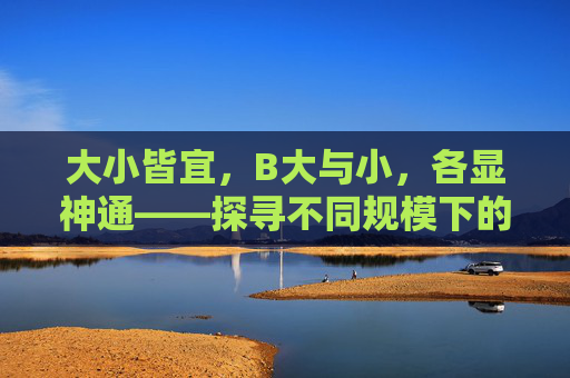大小皆宜，B大与小，各显神通——探寻不同规模下的独特优势
