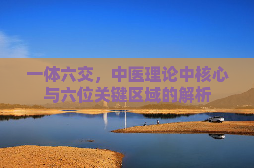 一体六交，中医理论中核心与六位关键区域的解析