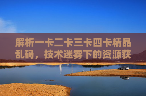 解析一卡二卡三卡四卡精品乱码，技术迷雾下的资源获取与风险警示
