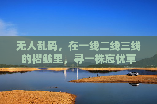 无人乱码，在一线二线三线的褶皱里，寻一株忘忧草