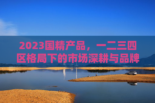 2023国精产品，一二三四区格局下的市场深耕与品牌突围