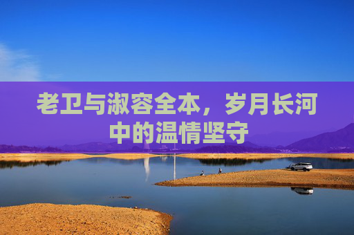老卫与淑容全本，岁月长河中的温情坚守