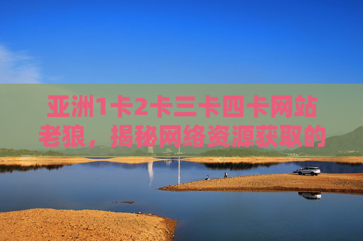 亚洲1卡2卡三卡四卡网站老狼，揭秘网络资源获取的捷径与风险陷阱