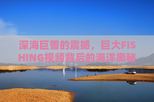 深海巨兽的震撼，巨大FISHING视频背后的海洋奥秘与人文故事