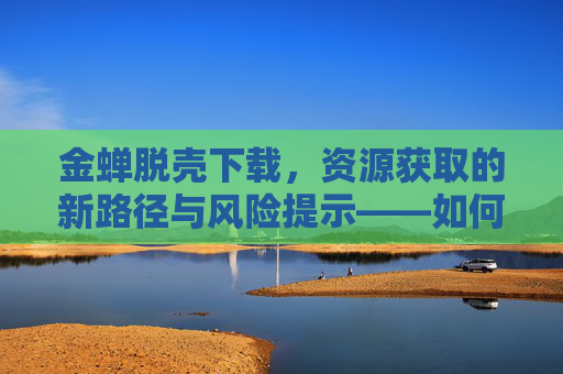 金蝉脱壳下载，资源获取的新路径与风险提示——如何安全高效地使用这类工具？