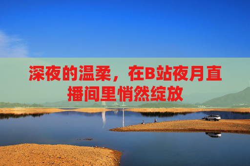 深夜的温柔，在B站夜月直播间里悄然绽放