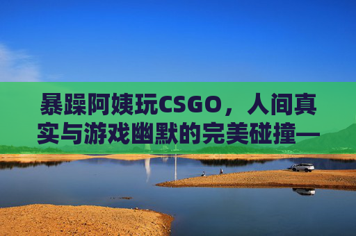暴躁阿姨玩CSGO，人间真实与游戏幽默的完美碰撞——爆笑集锦