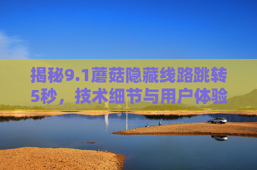 揭秘9.1蘑菇隐藏线路跳转5秒，技术细节与用户体验解析