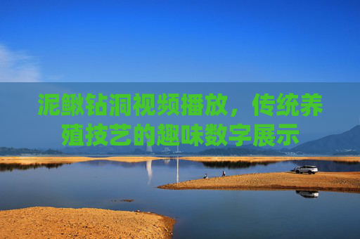 泥鳅钻洞视频播放，传统养殖技艺的趣味数字展示