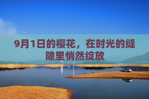 9月1日的樱花，在时光的缝隙里悄然绽放
