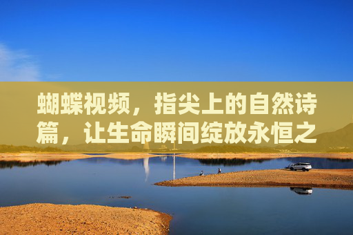 蝴蝶视频，指尖上的自然诗篇，让生命瞬间绽放永恒之美