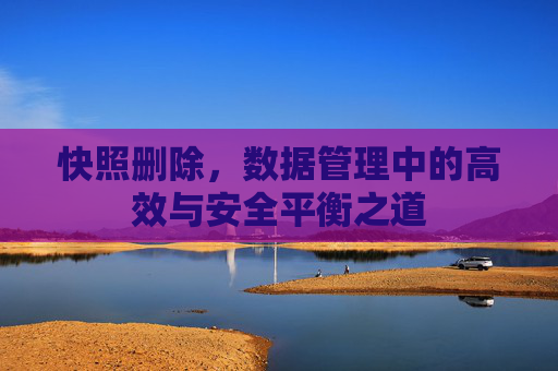 快照删除，数据管理中的高效与安全平衡之道