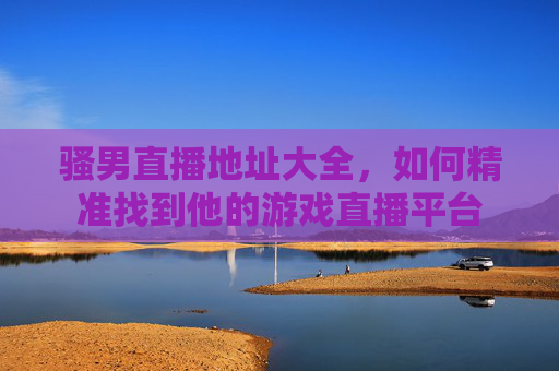 骚男直播地址大全，如何精准找到他的游戏直播平台