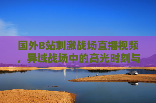 国外B站刺激战场直播视频，异域战场中的高光时刻与竞技魅力