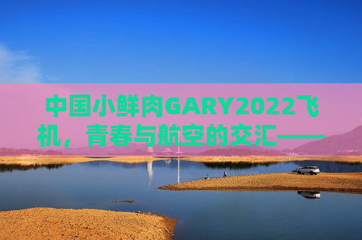 中国小鲜肉GARY2022飞机，青春与航空的交汇——一位偶像背后的飞行梦想