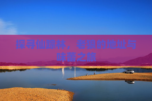 探寻仙踪林，老狼的地址与味蕾之旅
