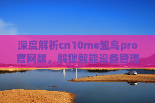 深度解析cn10me雏鸟pro官网版，解锁智能设备管理新体验