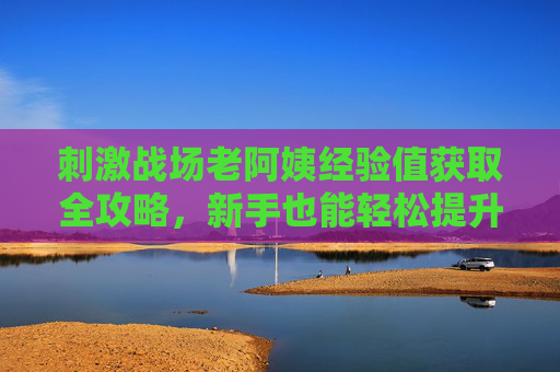 刺激战场老阿姨经验值获取全攻略，新手也能轻松提升，这些方法让你经验值蹭蹭涨！