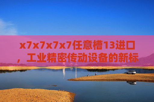 x7x7x7x7任意槽13进口，工业精密传动设备的新标杆