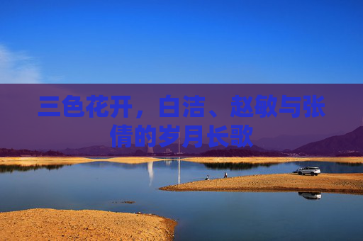 三色花开，白洁、赵敏与张倩的岁月长歌
