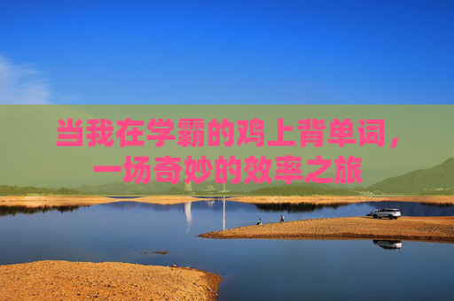 当我在学霸的鸡上背单词，一场奇妙的效率之旅