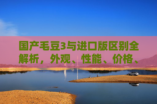 国产毛豆3与进口版区别全解析，外观、性能、价格、适用场景大对比