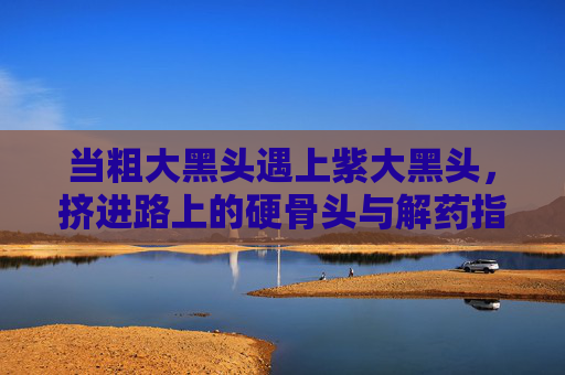 当粗大黑头遇上紫大黑头，挤进路上的硬骨头与解药指南