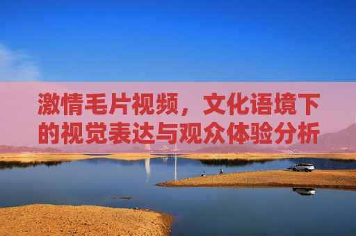 激情毛片视频，文化语境下的视觉表达与观众体验分析